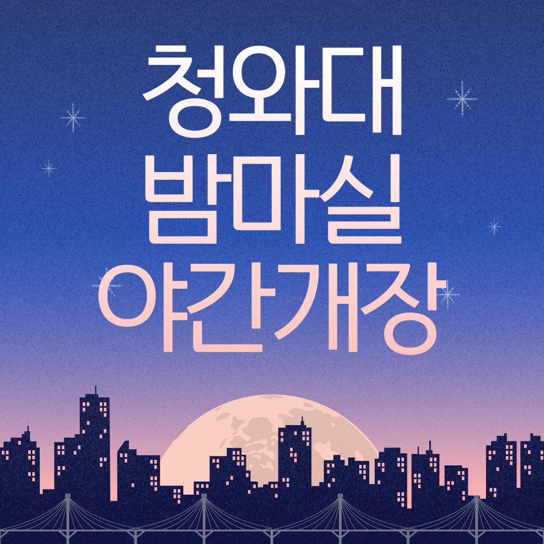 청와대 야간개장 예약