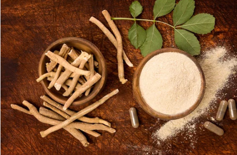 아슈와간다(Ashwagandha) 