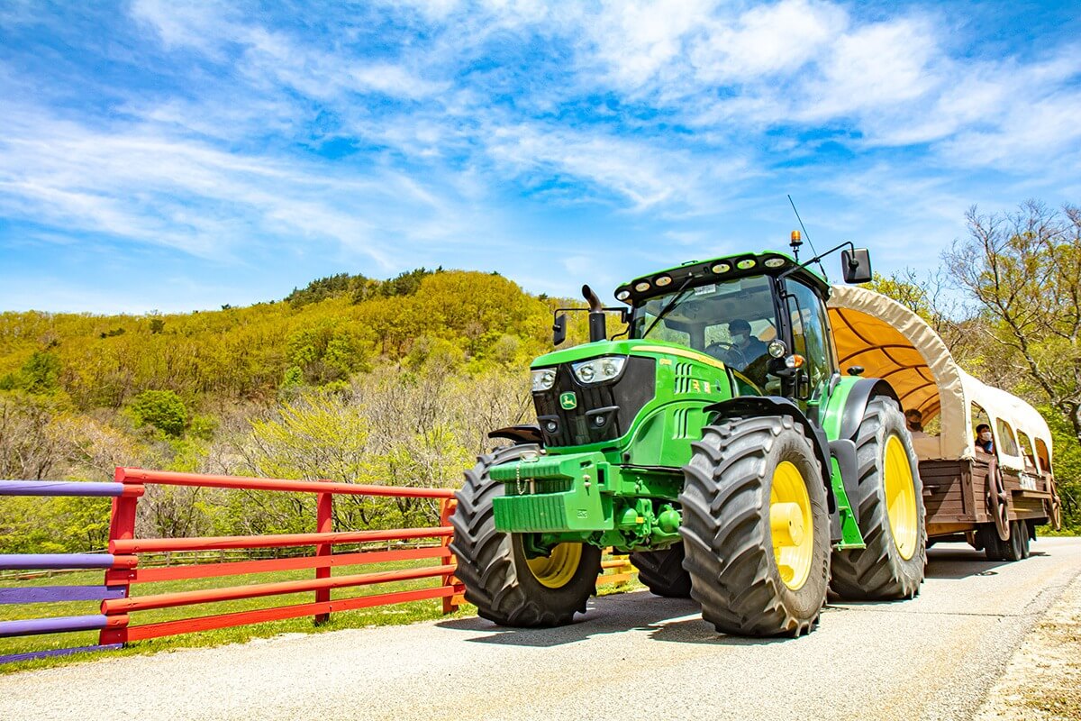 대관령 하늘목장 체험 정보