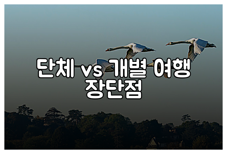 단체 vs 개별 여행 장단점