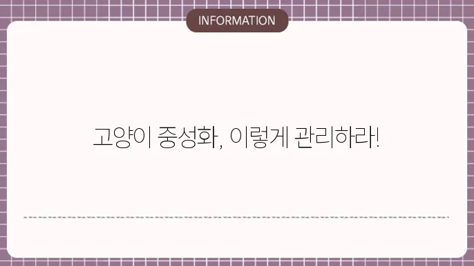 고양이 중성화 수술 후 관리