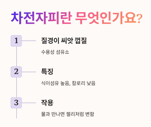 차전자피란 무엇인가요?