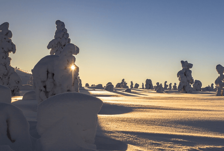 겨울 해외 여행 추천