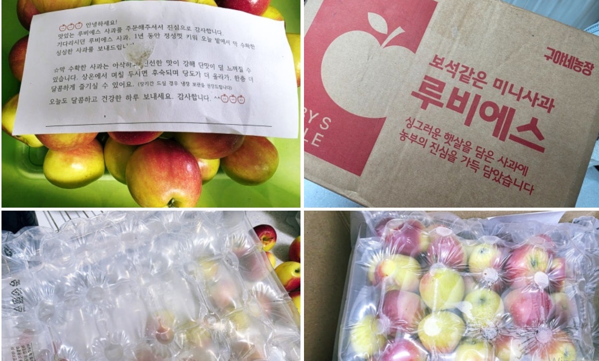 경산-미니사과-구아네농장-루비에스