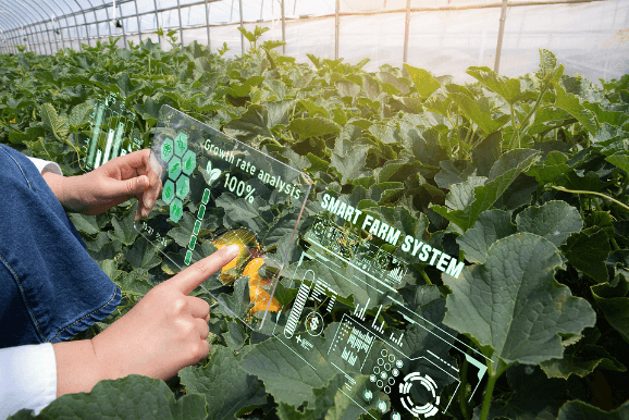 스마트농업의 주요 기술과 트렌드