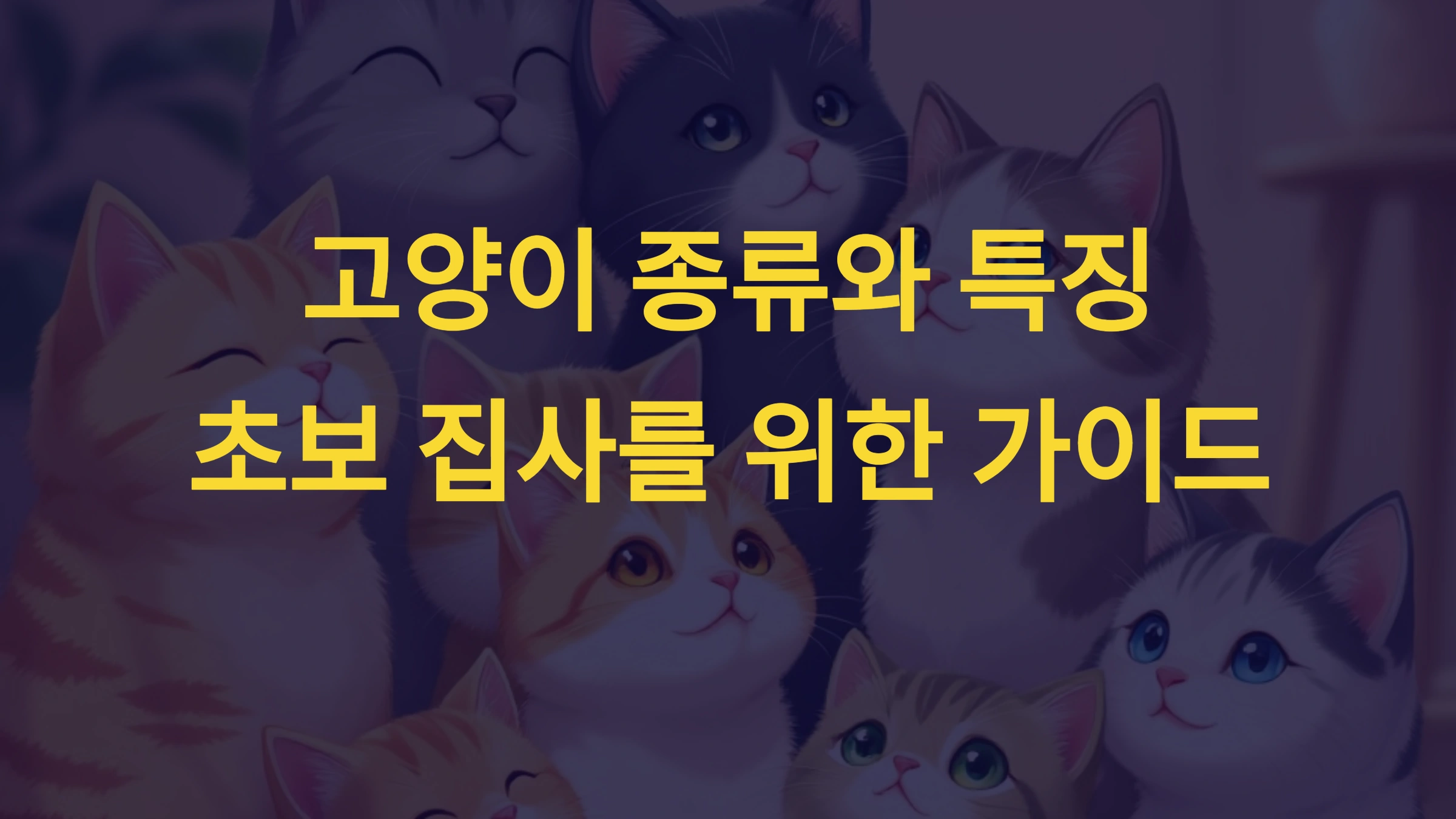 고양이 종류와 특징: 초보 집사를 위한 가이드