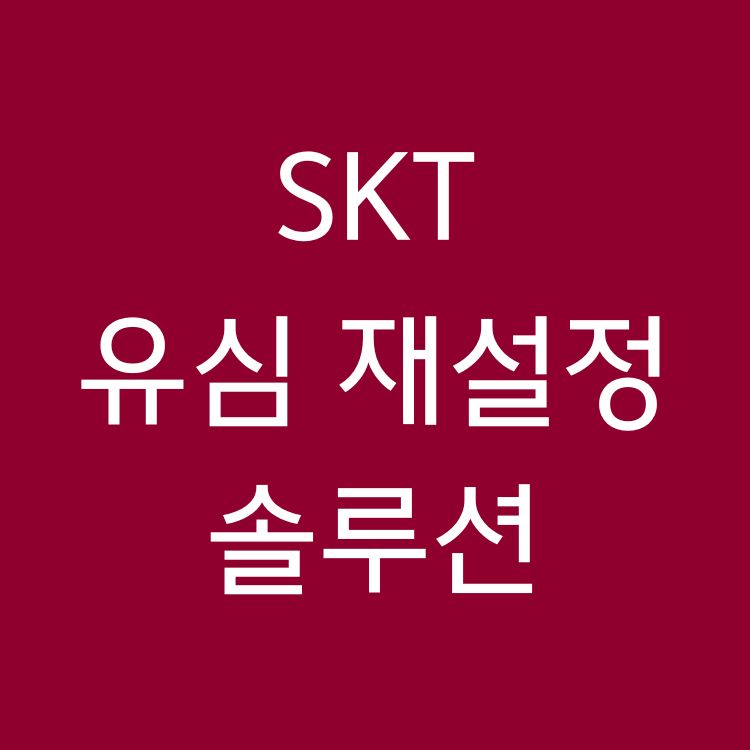SKT 유심 재설정 솔루션