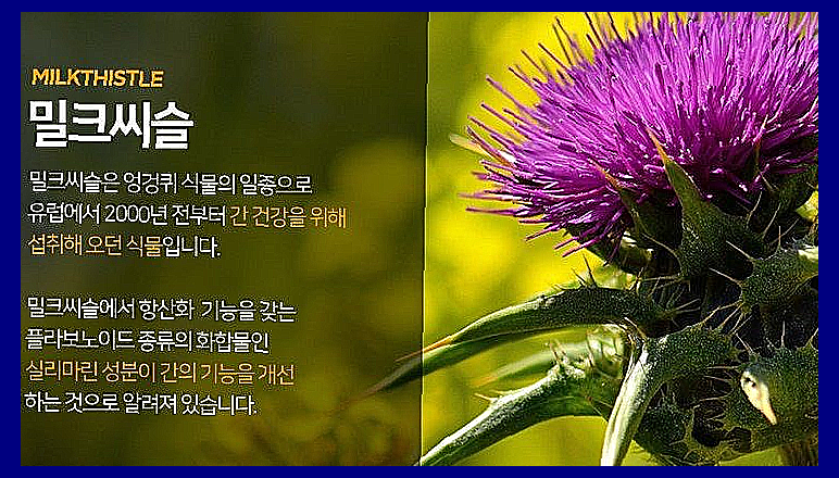 황제 침향단 효능