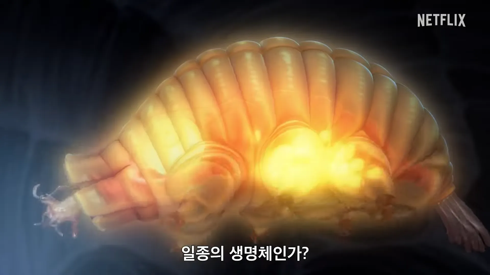 넷플릭스-메이크마이데이