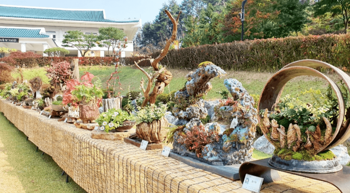 5월 충청북도 축제 일정 가볼만한 곳, 충청도 여행 추천