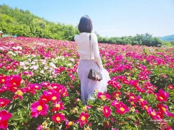 영천 가볼만한곳 맛집 카페 추천 여름 사진 명소_19