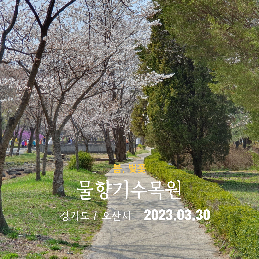 물향기수목원