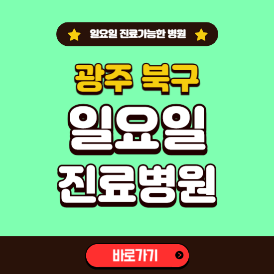 광주 북구 일요일 진료 가능한 병원 ❘ 주말 문여는 곳 총정리 (소아과, 내과, 안과, 치과, 피부과, 정형외과, 산부인과)