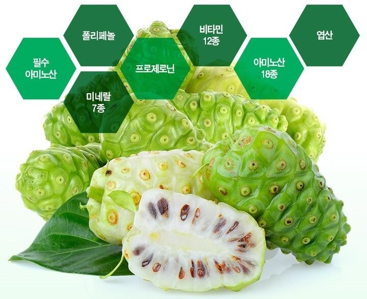 노니의 놀라운 세계: 건강부터 아름다움까지