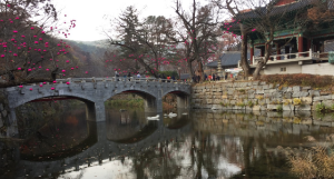 부처님오신날유명사찰