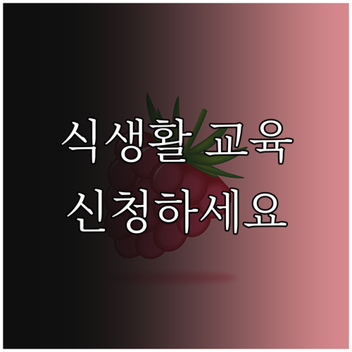 2025 식생활 교육 지원 사업 신청..