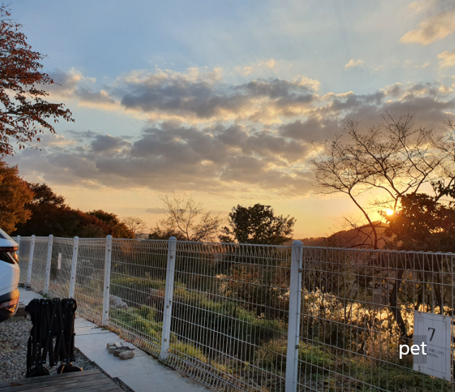 경기-파주-강나루야영-예약-방법-애견-동반-가격-주소-시간-후기