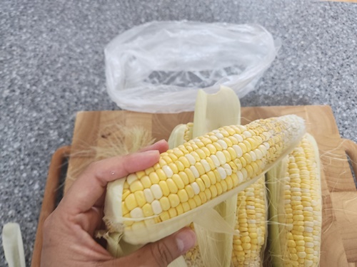 초당옥수수 전자레인지 찌는법 보관법 냉동 초당옥수수 먹는법