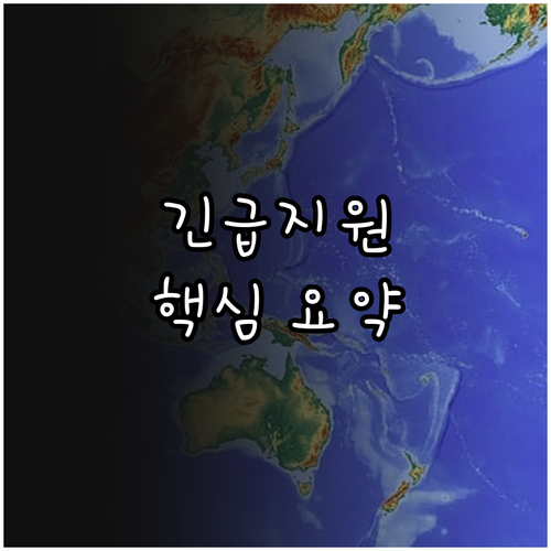 2025 천안시 긴급지원 사업 파헤치..