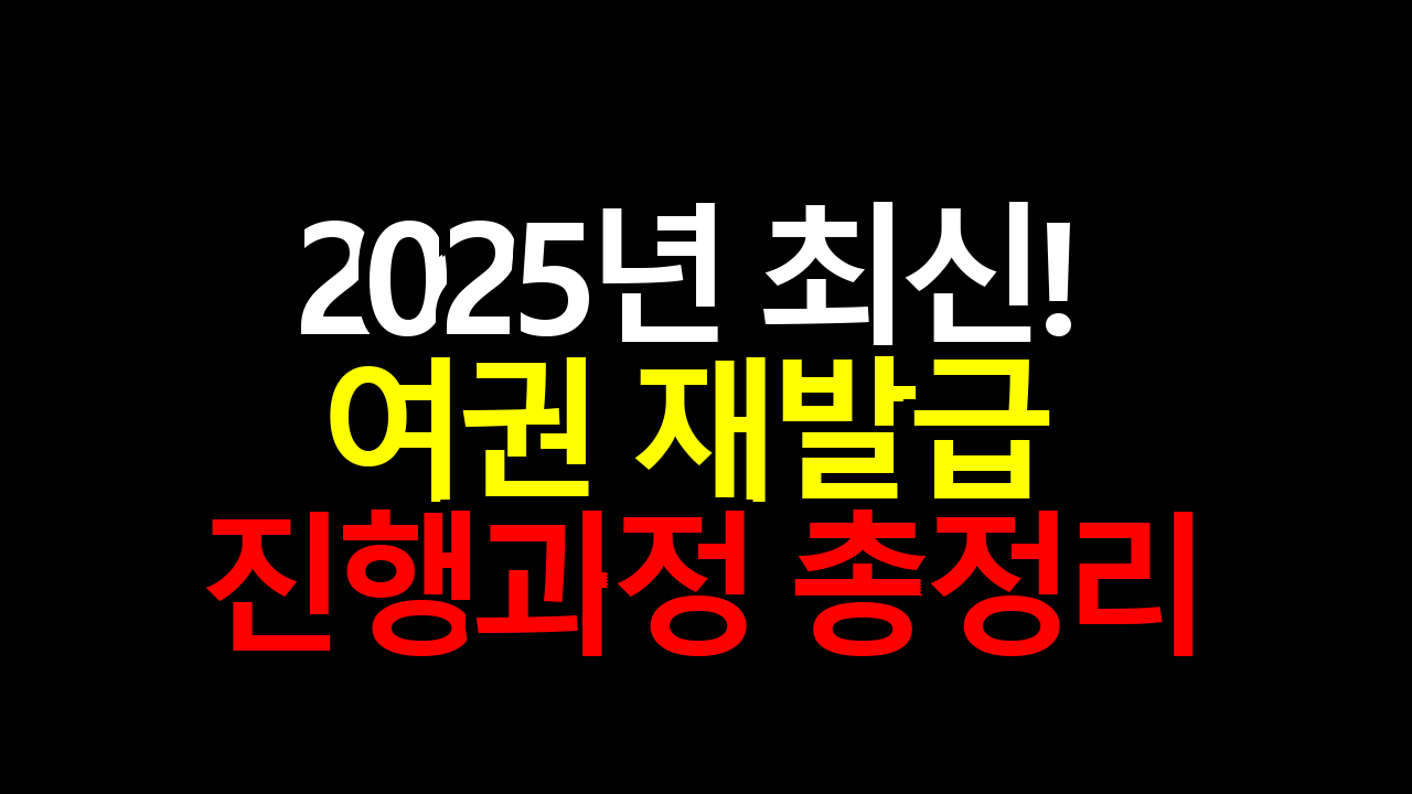2025년 최신! 여권 재발급 진행과정 총정리