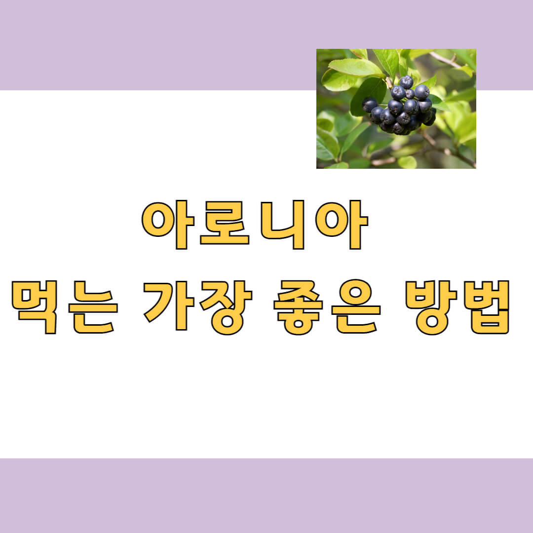 아로니아 먹는 가장 좋은 방법