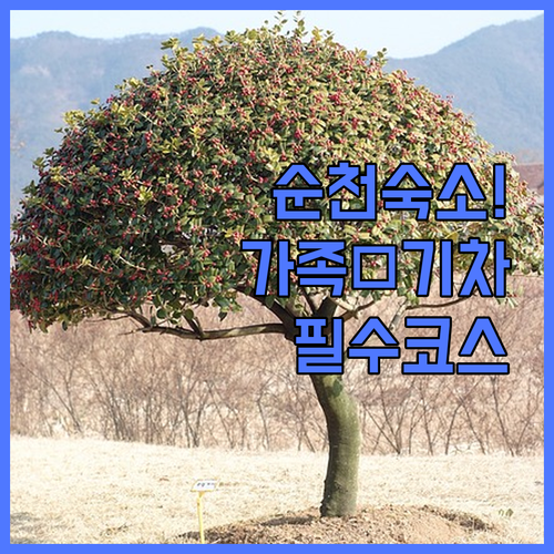 가족 여행객과 기차 여행객을 위한 순..