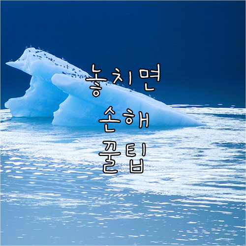 연회비 없이 현대카드 가족카드 온 가..