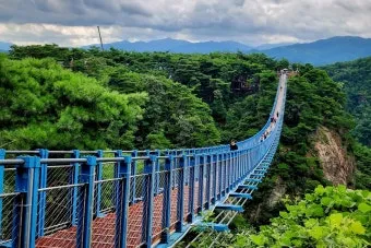 원주 가볼만한곳 베스트10 자연과 도심 명소 총정리_6