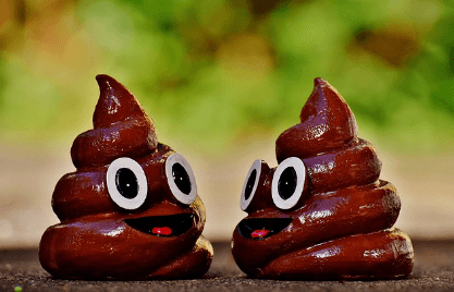 복권 당첨되는 꿈 5가지 중 똥과 관련된 꿈을 나타내는 똥 사진