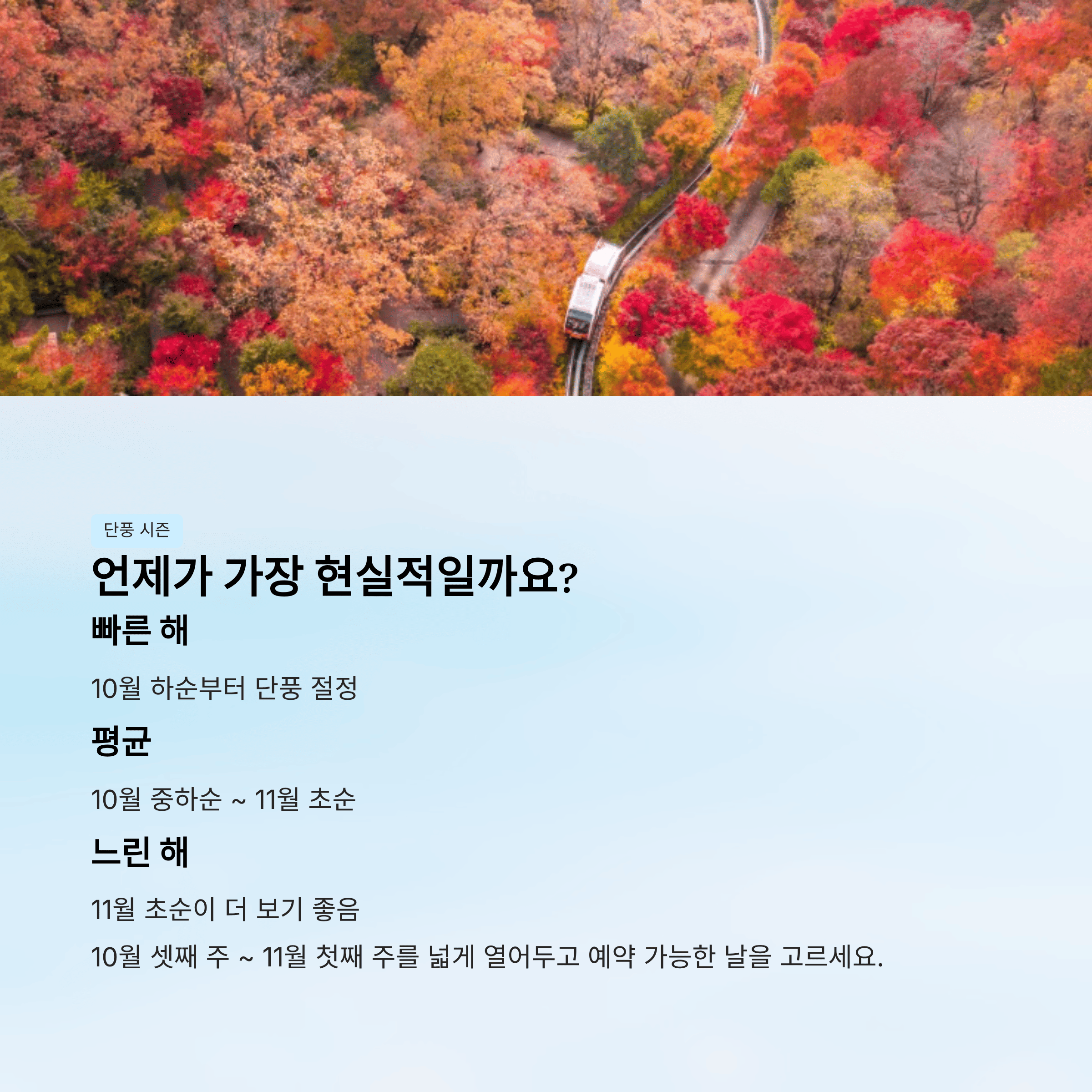 언제로 잡는 게 가장 현실적일까