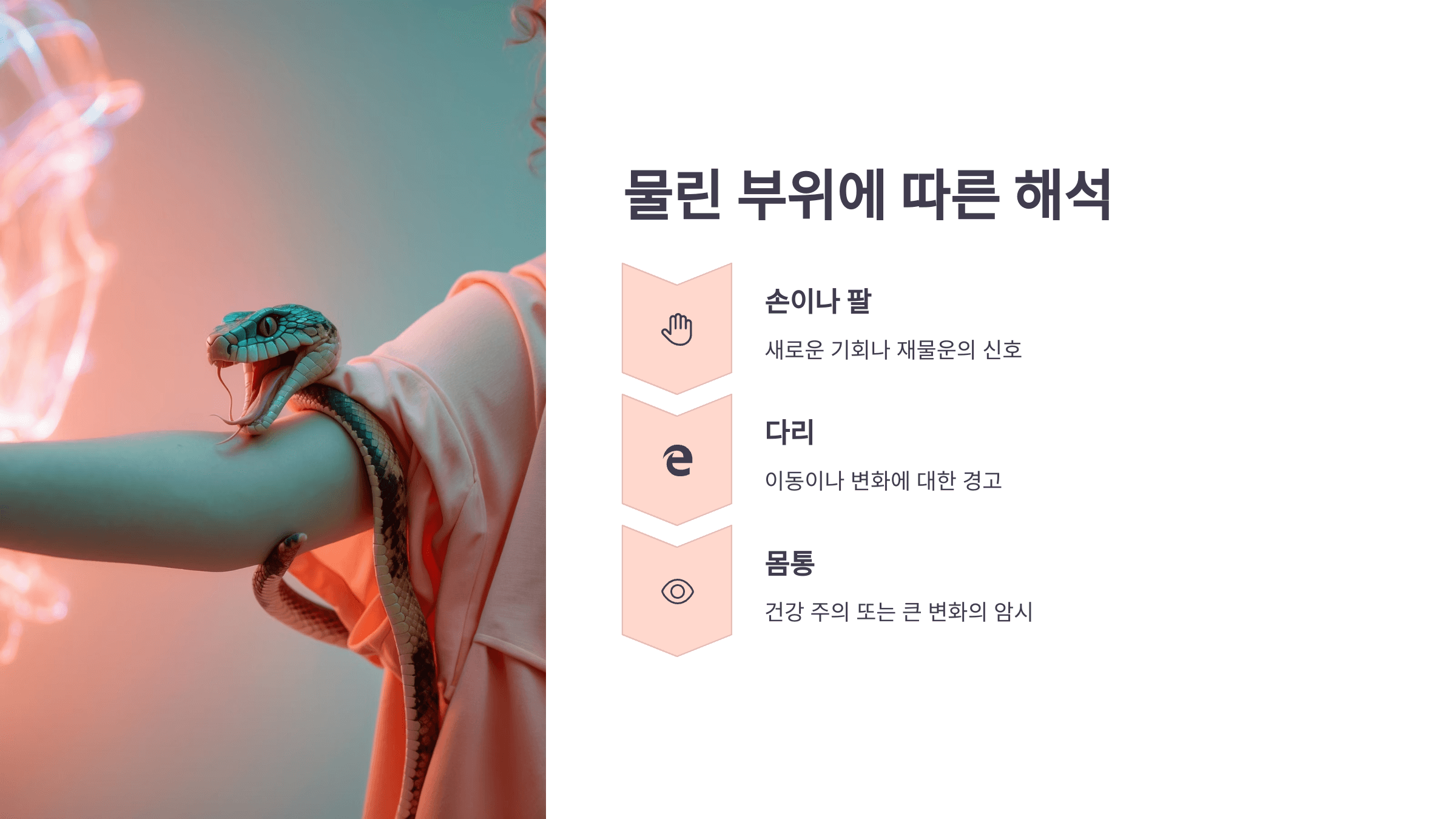 뱀 사진입니다.