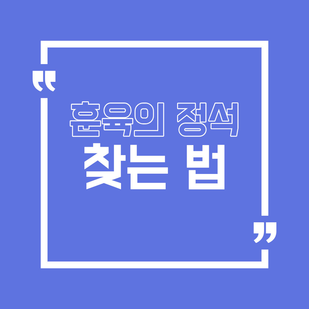 훈육의 정석 찾는 법