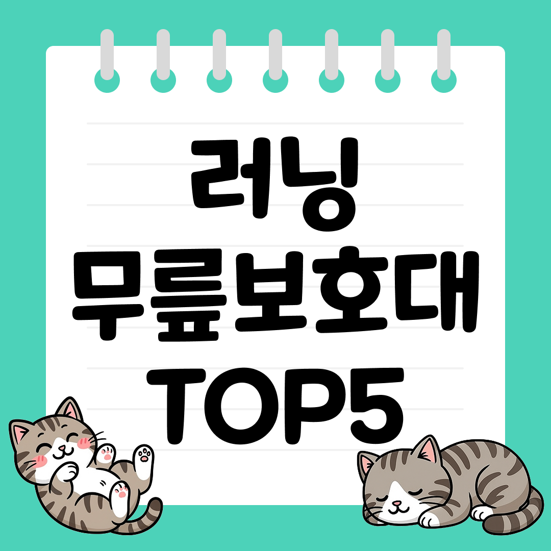 25년 9월 2주차 러닝 무릎보호대 추천 순위 TOP5