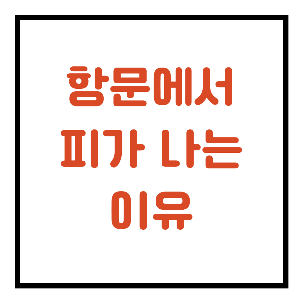 항문에서 피가나는 이유