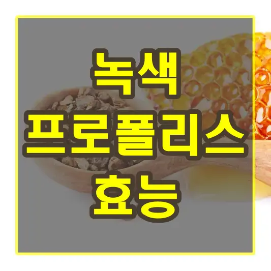 녹색프로폴리스 효능