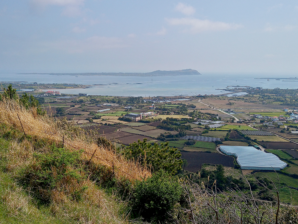 올레1코스: 말미오름 뷰