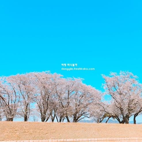 3월 국내 여행지 추천