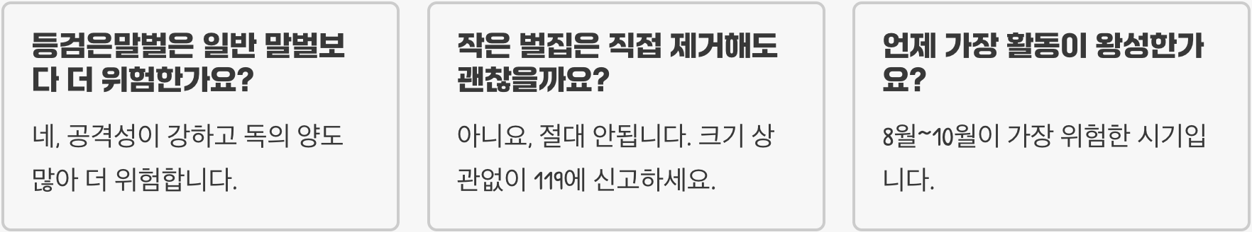 등검은말벌이 유독 사람 사는 곳 근처에 집을 짓는 이유 3가지