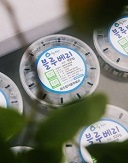 제주블루베리