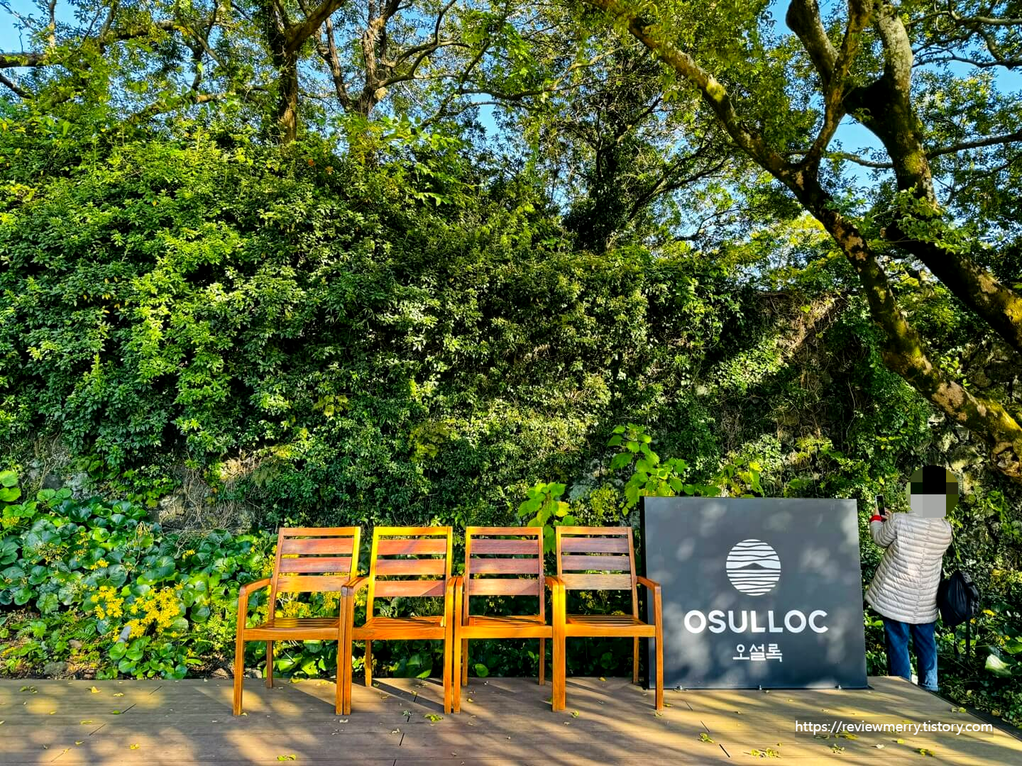 오설록 포토존2