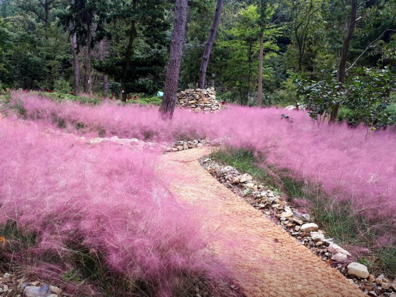 포레스트수목원