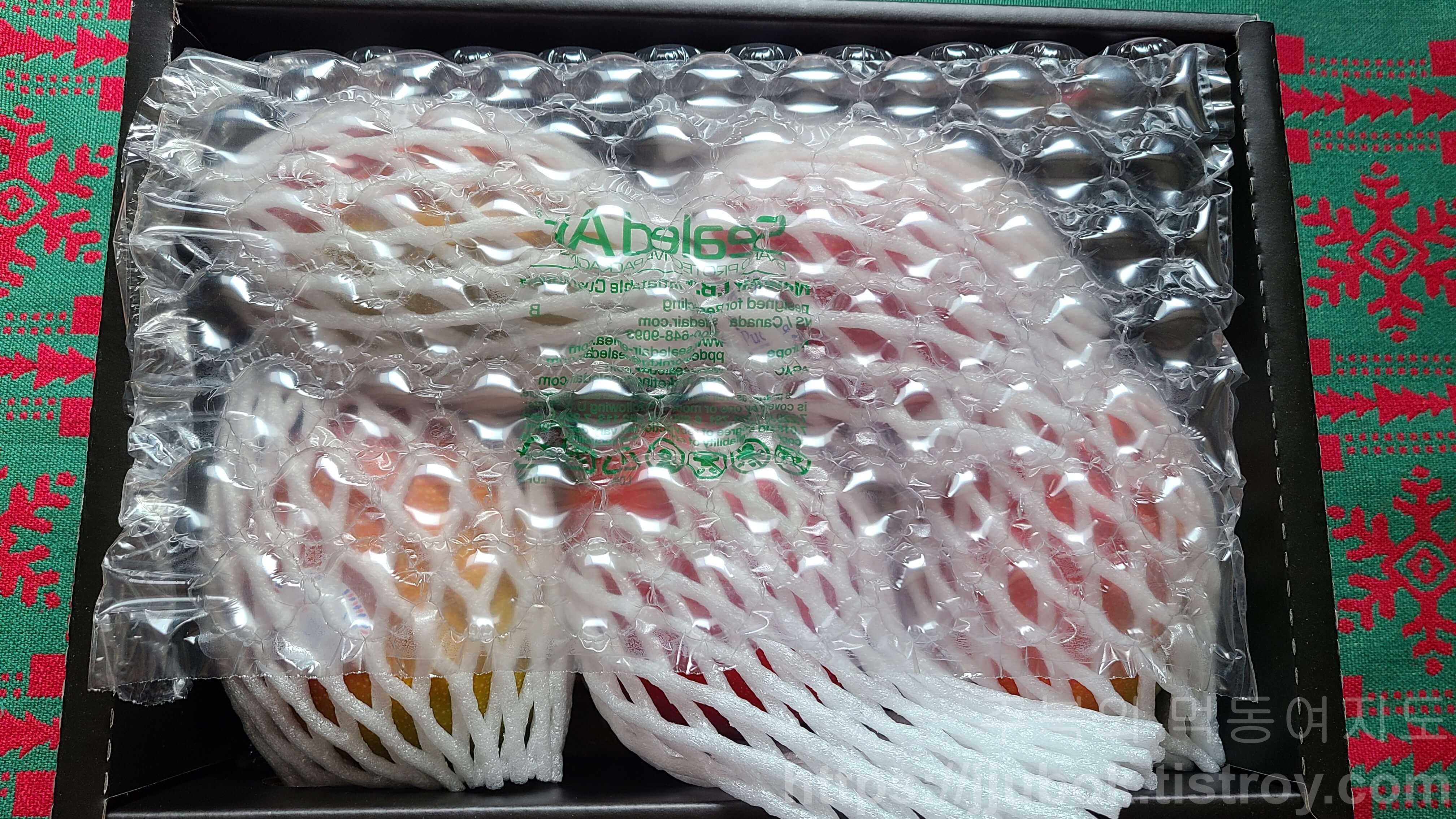 프리미엄-애플망고-선물세트-포장