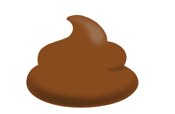 꿈속에서 똥싸는꿈