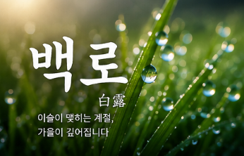 백로 뜻 하얀 이슬의 의미