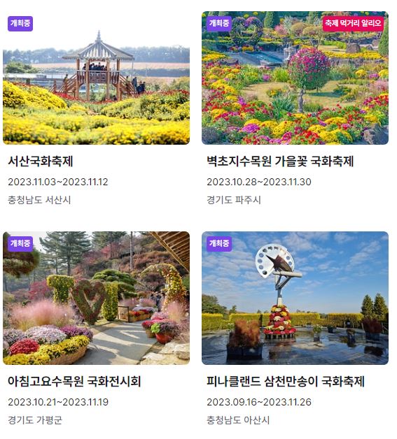 국화축제