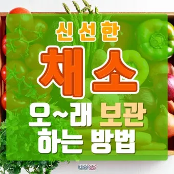 저장 채소 관리 감자 고구마 마늘 양파 배추 무 김장 준비_40