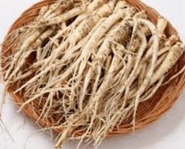 가래에 좋은 음식