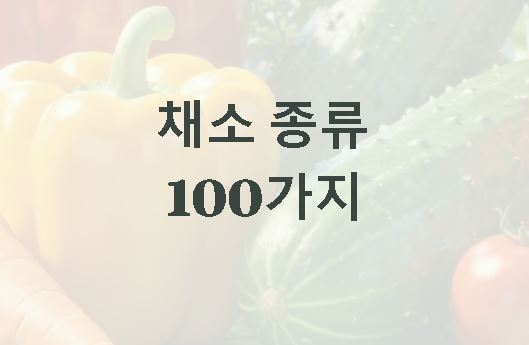 채소 종류 100가지