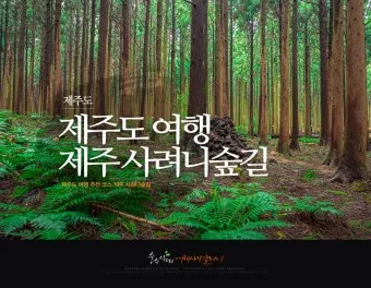 걷기 좋은 명품 숲길 50선 전국 서울 경기_10