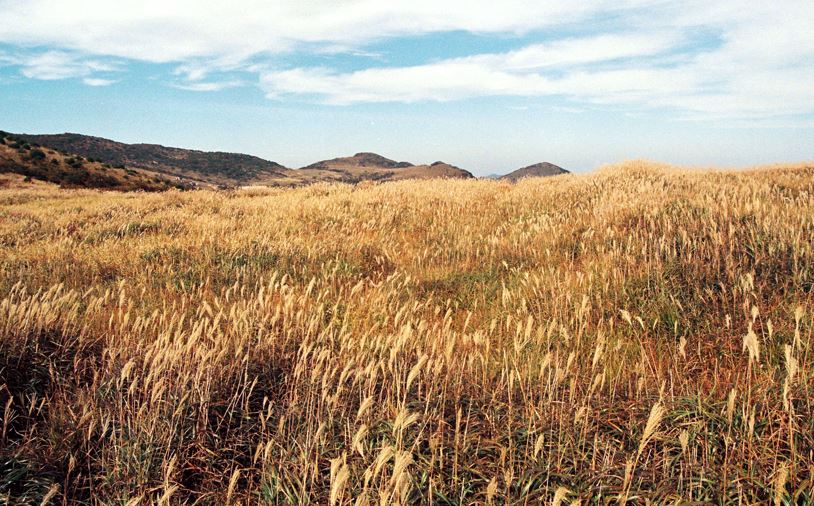 밀양 가볼만한곳 베스트10